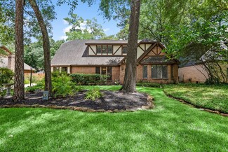 6 Mallard Glen Place, Spring, TX 77381
