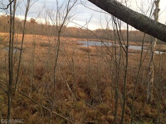 0 Kirk Lake Rd, Vandalia, MI 49095