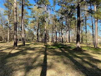LOT 4 Lou Ann Dr, Colfax, LA 71417
