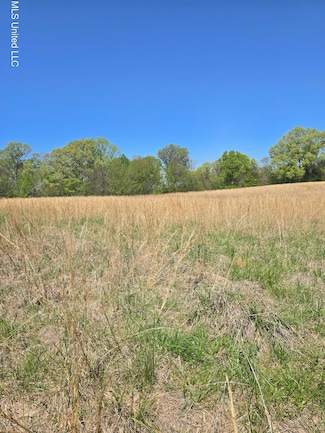 0 Melanie Ln, Hernando, MS 38632