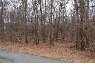 0 Healing Springs Rd Unit 1258955, Chattanooga, TN 37419
