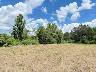 Tbd Gwen Dr Unit LotWP012, Hamer, SC 29547