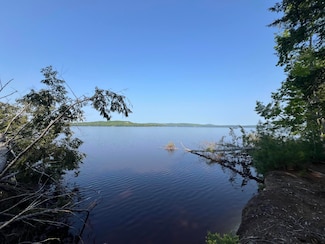 3 Rt 179 & 50' Row, Waltham, ME 04605