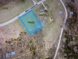 Lot 29 Mule Barn Dr, Flat Creek A Township, MO 65624