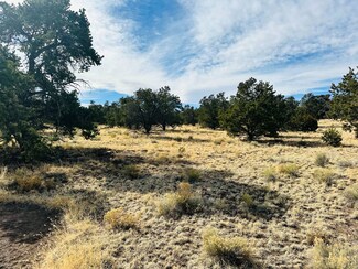 15 River Ln Unit 52, Quemado, NM 87829
