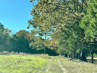 150 Holloway Ln, Greenbrier, AR 72058