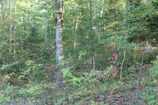 302 Pineview Dr, Mammoth Cave, KY 42259