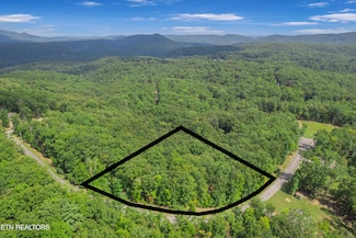 313 Country Wood Place, Harriman, TN 37748