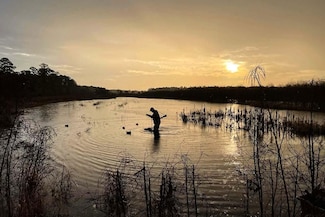 1569 River Rd, Yemassee, SC 29945