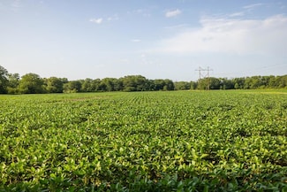 Tract 6 S Hardsaw Rd, Grain Valley, MO 64029