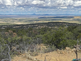 107 Silver Spur Ct, Pie Town, NM 87827