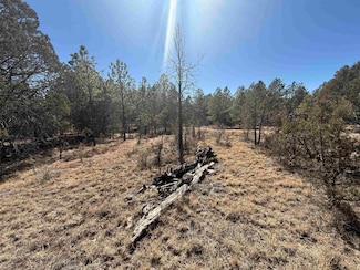 0 Eldorado Dr Unit 170570, Timberon, NM 88350
