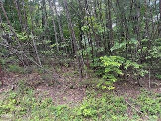 0 Pleasant Valley Rd Unit 306620, Cosby, TN 37722