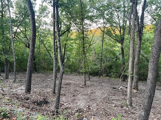 190 Deer Dr, Ridgedale, MO 65739