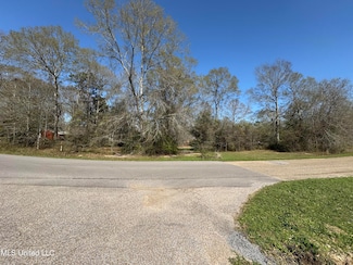 00 Cedar Wood Dr, Perkinston, MS 39573