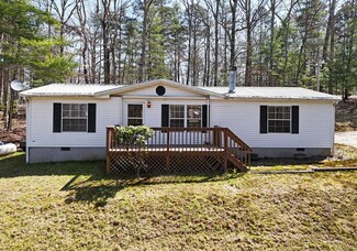 10 Wilderness View, Morganton, GA 30560