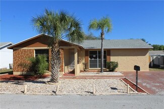 10113 Hunters Point Ct, Tampa, FL 33615