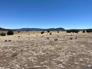 Lot 23 Lost Cabin Subdivision, Reserve, NM 87820