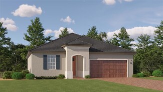 11866 Sparkling Topaz Cove, Parrish, FL 34219