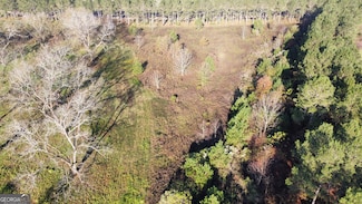 10 N County Line Rd, Elko, GA 31025