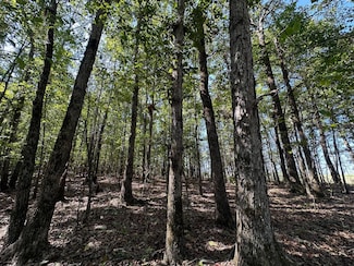3 Highway 790, Ackerman, MS 38963