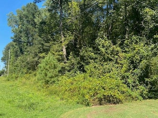 Lot 46 Nocks Landing Rd Unit 46, Atlantic, VA 23303