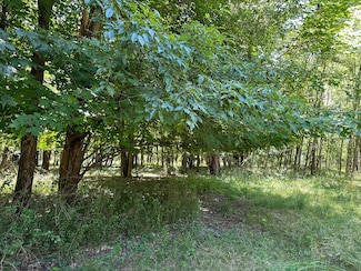 Lot 1 Christopher Ln, South Haven, MI 49090