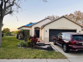 11006 Laurel Brook Ct, Riverview, FL 33569