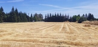 514 2nd Ave, Willows, CA 95988