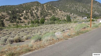 604 Kingston Canyon Rd, Kingston, NV 89310