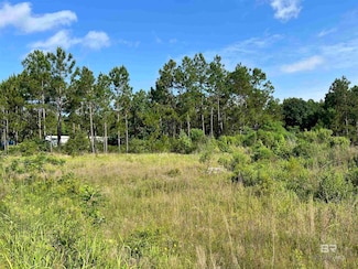 0 Robinson Ln Unit 381794, Gulf Shores, AL 36542
