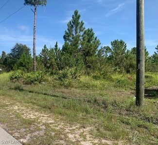 3203 10th St SW, Lehigh Acres, FL 33976
