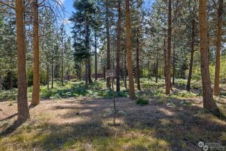 12 Red Sky Way, Cle Elum, WA 98922