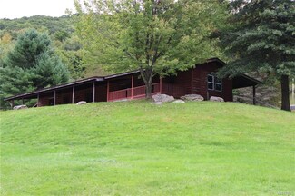 1542 Lillibridge Rd, Portville, NY 14770