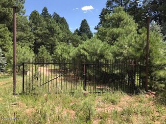 1225 Highway Loop Unit 879, Forest Lakes, AZ 85931