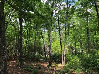 425 Walnut Valley Pkwy Unit Lot 96, Arden, NC 28704