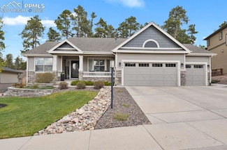 1734 Lazy Cat Ln, Monument, CO 80132