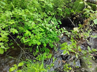 0 Siwash Creek Rd Unit NWM2389352, Tonasket, WA 98855
