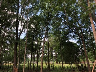 0 NW 193rd St, Micanopy, FL 32667
