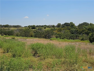 350 Grand Canyon Dr, Oglesby, TX 76561