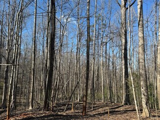 0 Hooper Rd, Forest, VA 24551