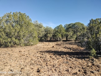 1841 Rocky Bottom Place, Show Low, AZ 85901