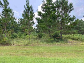 0 Louis Cooper Rd Unit 616326, Bay Minette, AL 36507