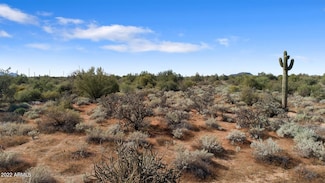 171Xx E Rio Verde Dr, Rio Verde, AZ 85263