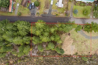 0 XX W Salmonberry Dr, Elma, WA 98541