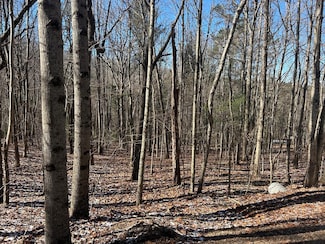 Lot 16 Deer Run Rd, Blairsville, GA 30512