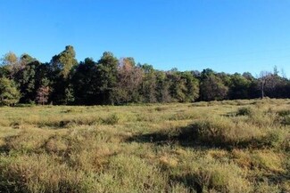 0 County Road 7 (Cincinnati) Rd Unit 1072182, Summers, AR 72769