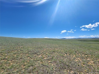 0 Park Ave Unit 58 REC6411239, Hartsel, CO 80449