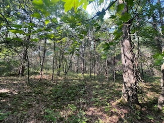 LOT 3 Borg Rd, Grantsburg, WI 54840