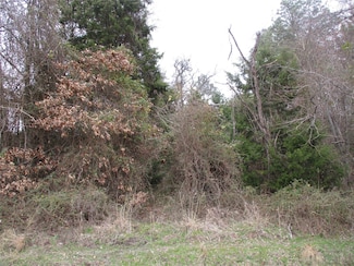 TBD County Road 3040, Emory, TX 75440